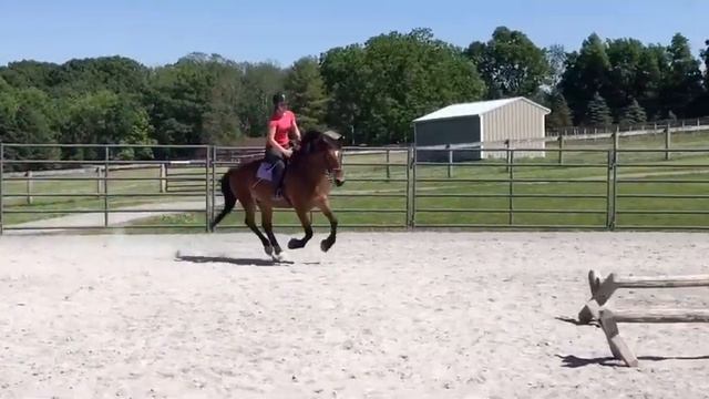 Mr. Finch grid смотреть онлайн