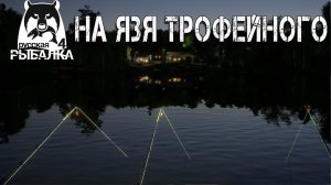 Русская рыбалка 4 - На Трофейного ЯЗЯ