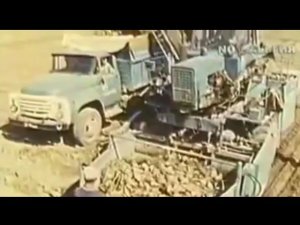 Уборка сахарной свеклы 1987 год. Казахстан.