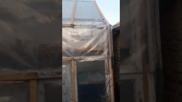 Теплица смотреть онлайн