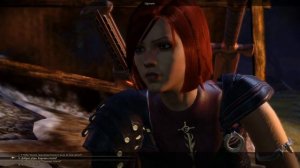 Dragon Age: Origins — Лелиана роман