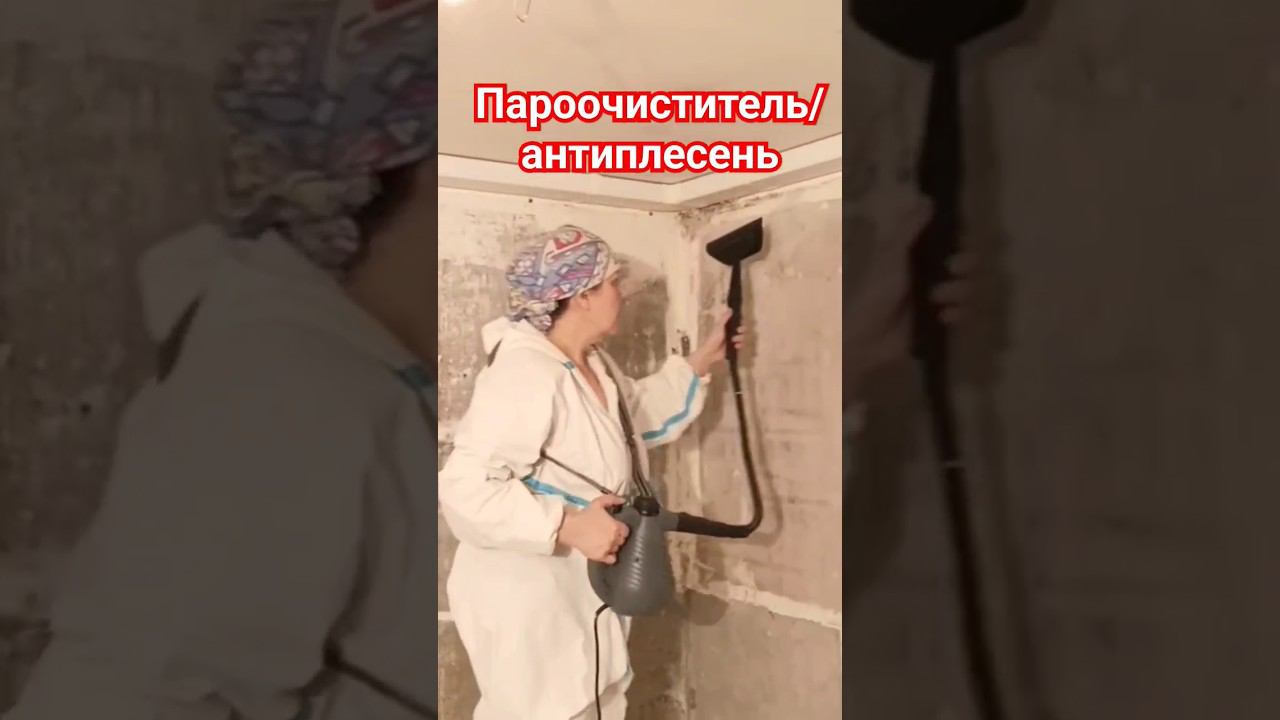 Пароочиститель против плесени #пароочиститель #микробы #плесень #протечки смотреть онлайн