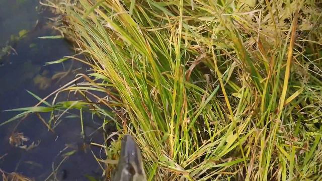 Рыбалка для души смотреть онлайн