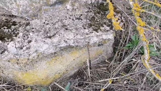 John Deere 6900+ КПС-4,МТЗ 892+СЗ-3.6.Внесення добрив,передпосівна підготовка грунту та посів сої . смотреть онлайн