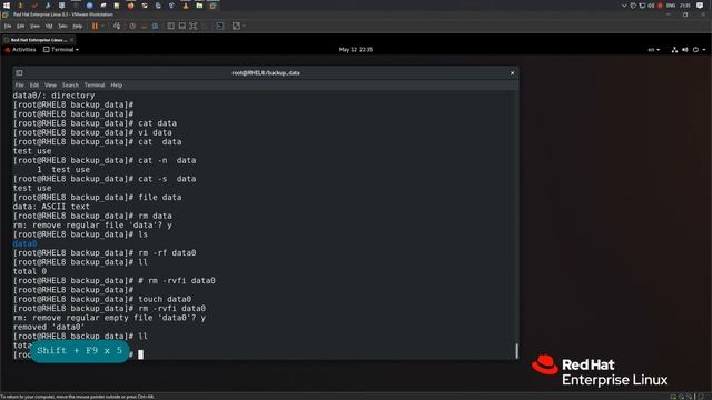 RHCSA | RHEL 8 | Управление файлами с помощью инструментов командной строки смотреть онлайн