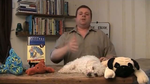 Dog Training Book - The easy way to train your dog смотреть онлайн
