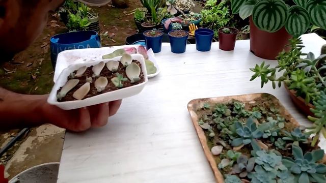 Como fazer um berçário passo a passo смотреть онлайн