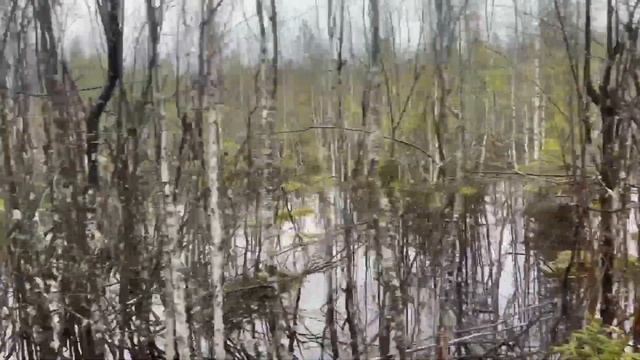 Вывозим ЗАГОТОВЛЕННЫЙ МЕТАЛЛ из ТАЙГИ в плохую погоду! Коп 2023 металокоп смотреть онлайн
