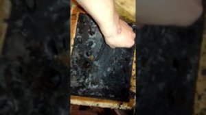 Чистка котла Данко часть 1