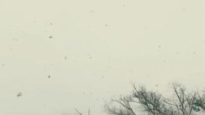 Шедевр семидесятых-восьмидесятых...Эту песню можно слушать бесконечно...