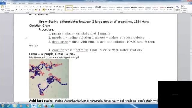 bio 260 lecture 4 sp 17 default смотреть онлайн