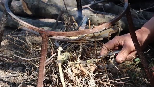 Preparing Pasta With Pesto Sauce And Chicken Fillet #cooking #nature #how смотреть онлайн