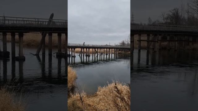 ПОРЧА КАК СНЯТЬ САМОСТОЯТЕЛЬНО смотреть онлайн