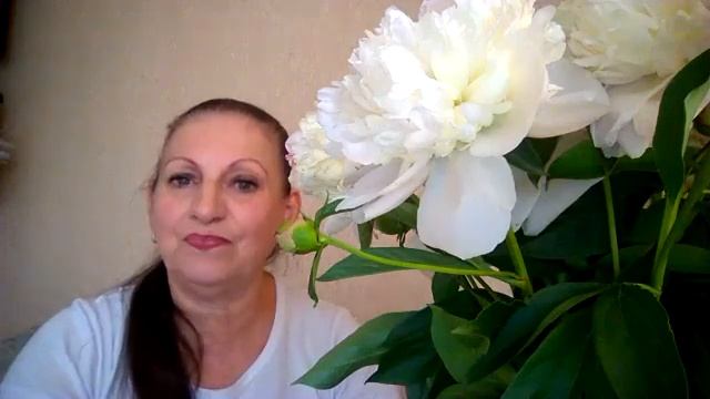 Волонтеры отряда "Серебряный возраст" м.р. Похвистневский смотреть онлайн