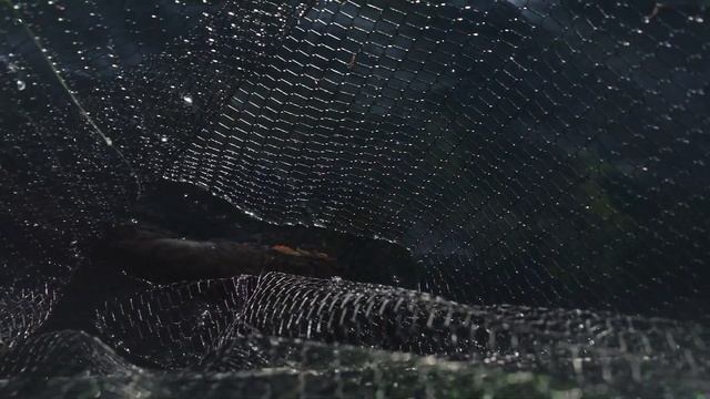 DSH - Out pike fishing with Finval 505 смотреть онлайн