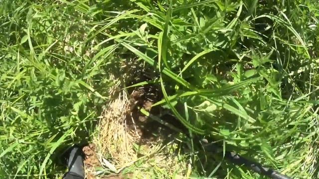 БОЛЬШОЙ ЭЛЕКТРОДВИГАТЕЛЬ! И ОТЛИЧНЫЙ МЕТАЛЛ ВДОЛЬ ПОЛЕЙ! BIG ELECTRIC MOTOR! смотреть онлайн