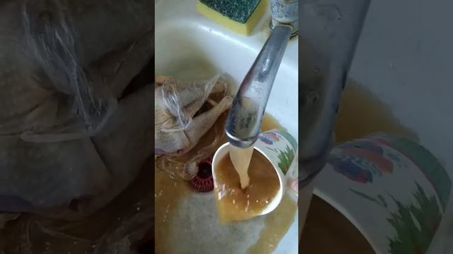 Калининградская область. п. Знаменск. смотреть онлайн