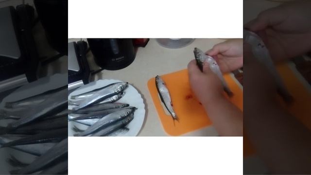 Музыкальные Каверы