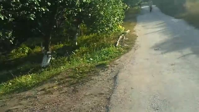 стрельнул смотреть онлайн