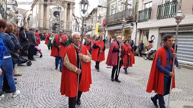 Body of God Procession. Vila Real, Portugal. 2018 смотреть онлайн