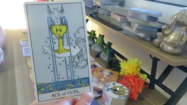 Pisces #tarot #love #oracle #reading #horoscope #zodiac #star sign смотреть онлайн