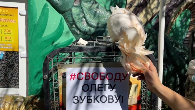 5 дней до апелляции! #СВОБОДУ ОЛЕГУ ЗУБКОВУ! смотреть онлайн