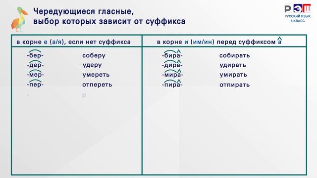 Чередующиеся гласные, выбор которых зависит от ударения и от последующего согласного.