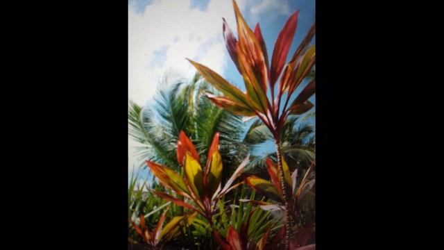 Maria Linnemann Klangbilder für zwei Gitarren смотреть онлайн