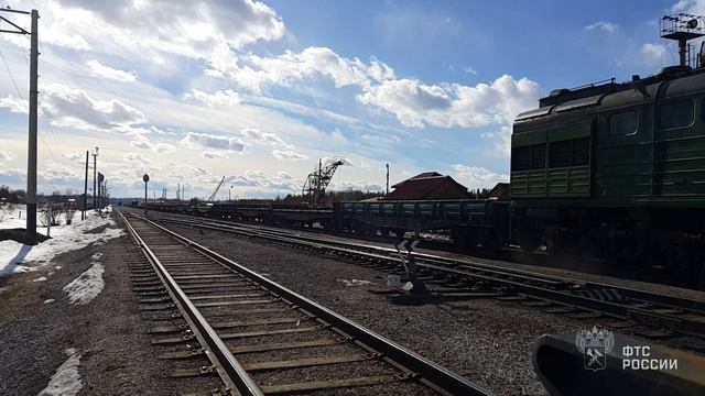 Контрабанда пиломатериалов в крупном размере смотреть онлайн