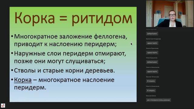 Лекция «Разнообразие растительных тканей» смотреть онлайн