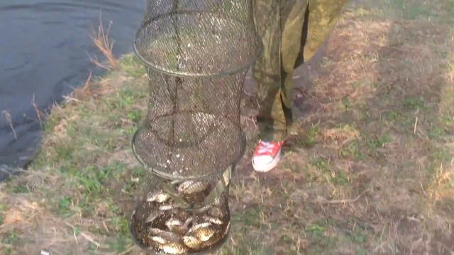 Рыбалка с котом (3.6 кг карасей) смотреть онлайн