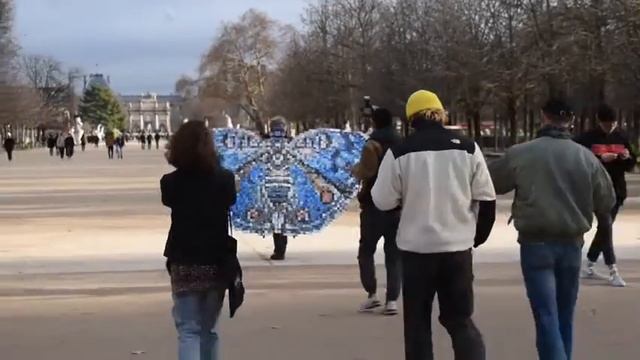 Le papillon Rhadama en balade aux Tuileries смотреть онлайн
