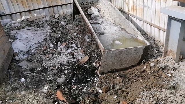Течка...? Готовим территорию для вольера?. Собака родила. Дикая кошка смотреть онлайн