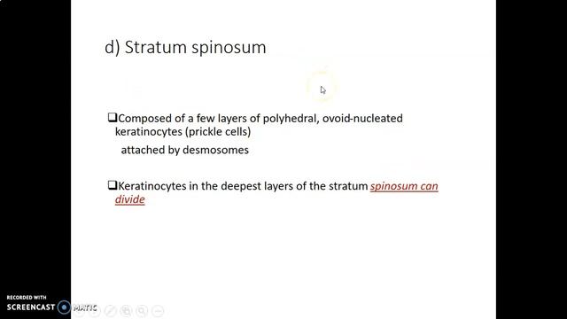 THE SKIN_ Histology_ Anatomy Book Club смотреть онлайн