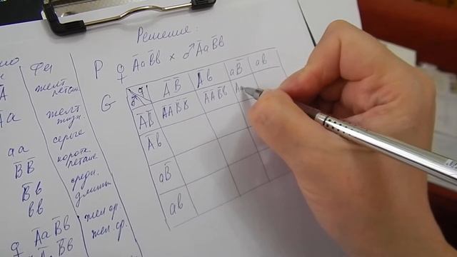 Дигибридное скрещивание (разбор задачи летальность у мышей). 10 класс. Баштанник Н.Е. смотреть онлайн