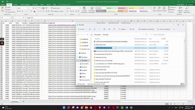 Cómo agregar nuevos productos en masa con Woocommerce y WP All Import смотреть онлайн