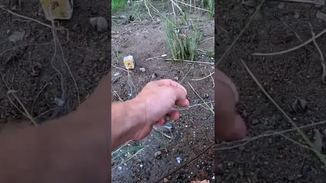 Поймал море рыбы за 20секунд.. смотреть онлайн