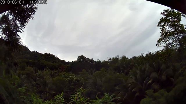Погода на Пхукете. 01 июня 2018 - 🌧🌧☁️☁️☁️ смотреть онлайн