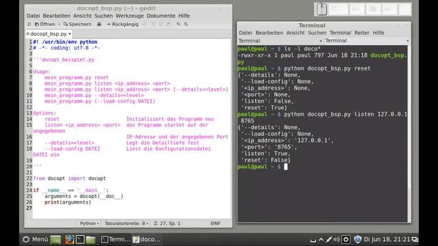 Python-Programmierung - docopt - Auswerten der Befehle, Argumente und Optionen смотреть онлайн