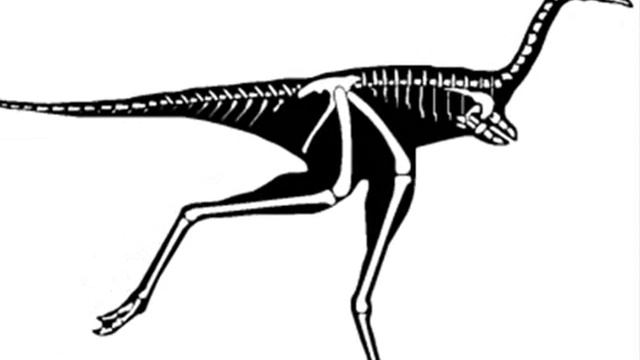 Mononykus Remix. смотреть онлайн