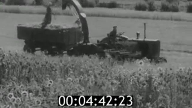 г Сольцы, Совхоз «Победа» 1959г смотреть онлайн