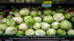 Как рассчитать, сколько нужно соли на 1 кг капусты для квашения