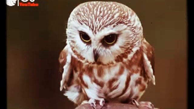 Замечаешь ли ты знаки от Бога? брат Крисс смотреть онлайн