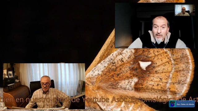 Hablamos con Pablo Rodríguez, entomólogo смотреть онлайн