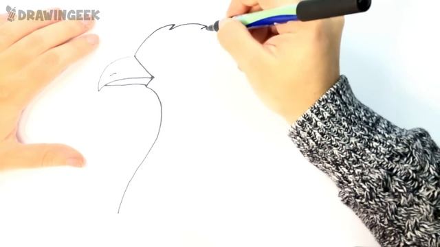 How to draw a Eagle for kids | Eagle Drawing Lesson Step by Step смотреть онлайн