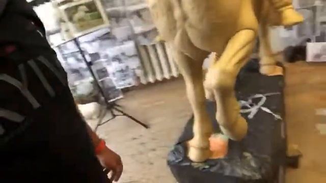 Парк "Муромец" в Киеве. смотреть онлайн