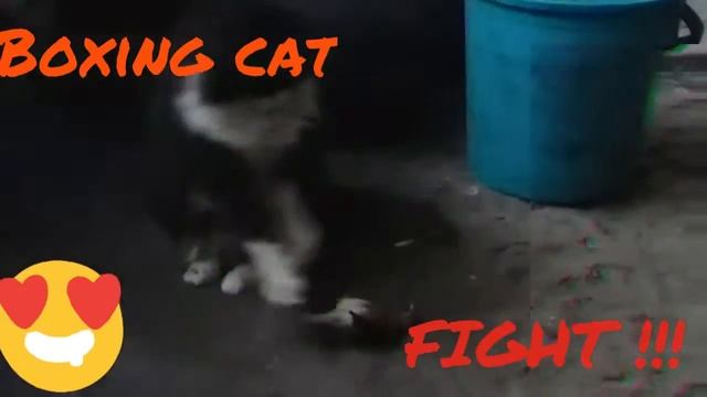 Ам-ням-ням-ням!!!! смотреть онлайн