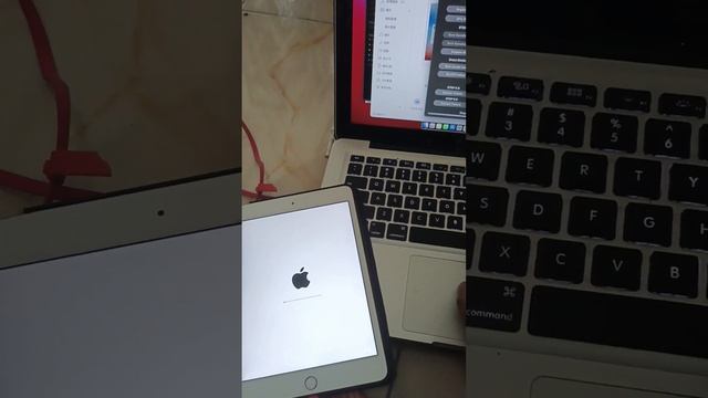 Bypass Cell Passcode iPad Mini 4 WiFI+Cell by gRamdisk смотреть онлайн