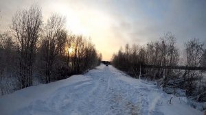 Заготовка дров! День 1-ый | МТЗ 320.4