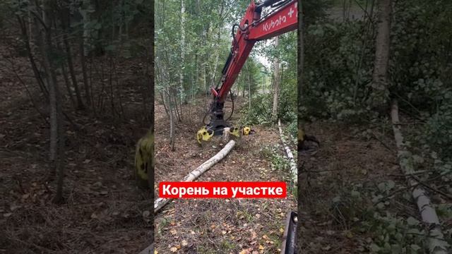 Мини экскаватор выкорчевал корень #дача #строительство #сад #благоустройство #экскаватор #дом #jcb смотреть онлайн